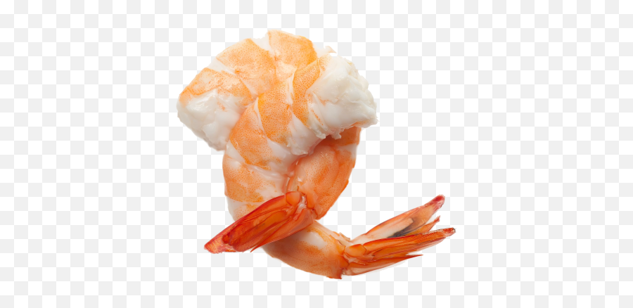 Free Png Images - Shrimps Png Emoji,Emoji Tiger And Shrimp