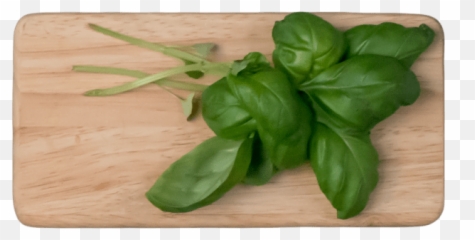 Pin - Leaf Vegetable Emoji,Basil Emoji