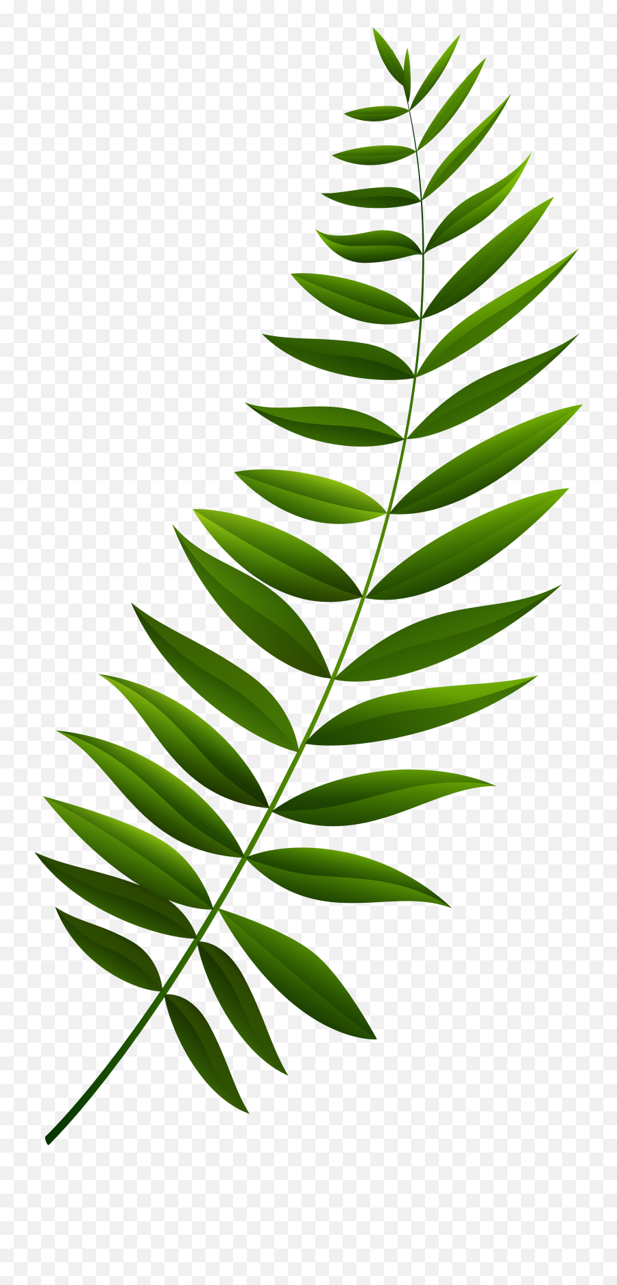 Green Branch Clipart - Png Download Full Size Clipart Green Branch Transparent Emoji,Branch Emoji