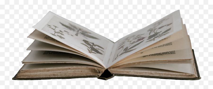 Scbook Book Cutout Openbook Book Pages - Book Open Cut Out Emoji,Open Book Emoji