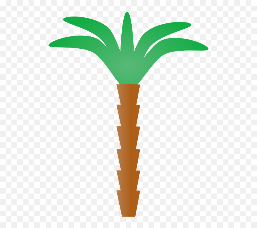 Palm Tree Tropical Summer - Palm Tree Trunk Clipart Emoji,Palm Tree And Book Emoji