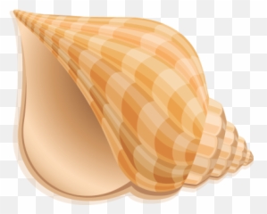 Conch Png - Seashell Clip Art Emoji,Conch Shell Emoji