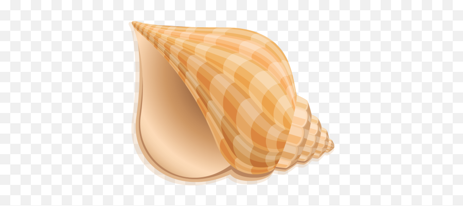 Conch Png - Seashell Clip Art Emoji,Conch Shell Emoji