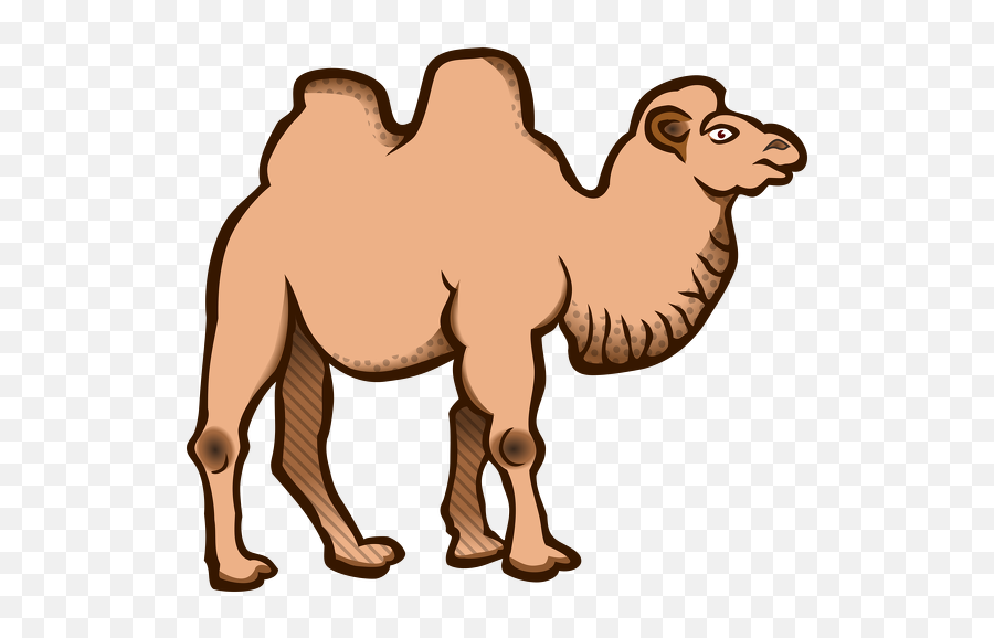 Camel Clipart Hump Camel Hump Transparent Free For Download - Wild Bactrian Camel Drawing Emoji,Humping Emoji
