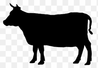 Angus cattle Welsh Black Beef Jersey - Cow Png Emoji