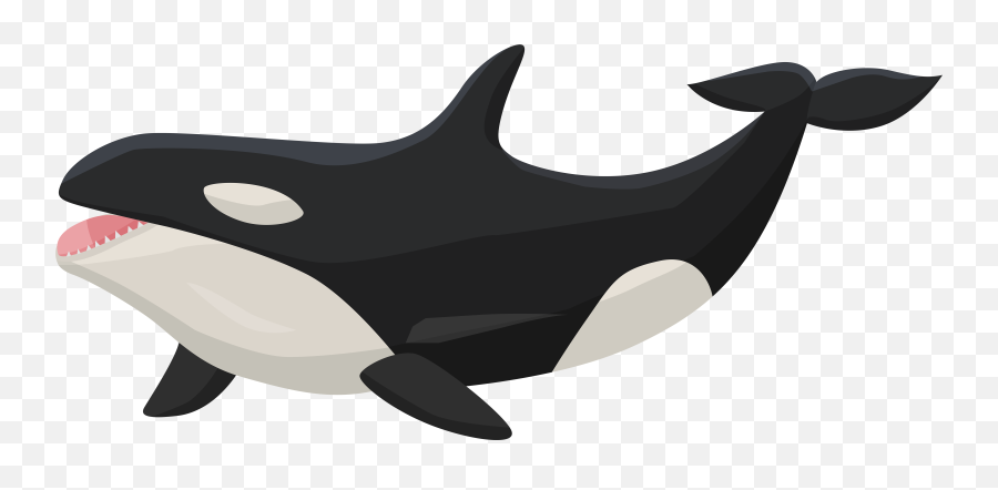 Transparent Orca Clipart - Transparent Killer Whale Clipart Emoji,Orca Emoji