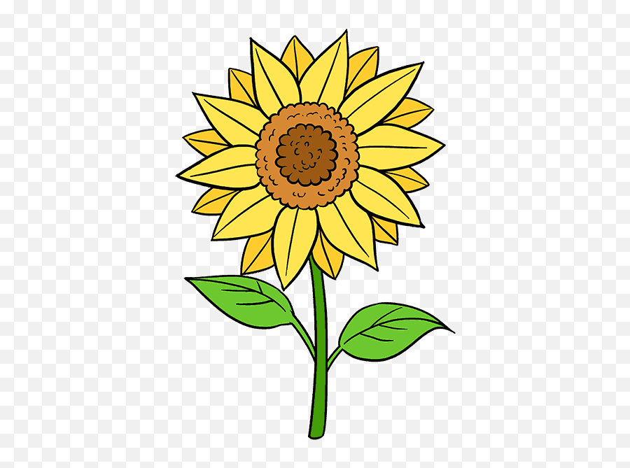 How To Draw A Sunflower - Sunflower Black And White Drawing Emoji,Sun Flower Emoji
