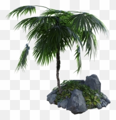 Tropical Palm Tree - Rock Png Palms Emoji,Palm Tree Emojis