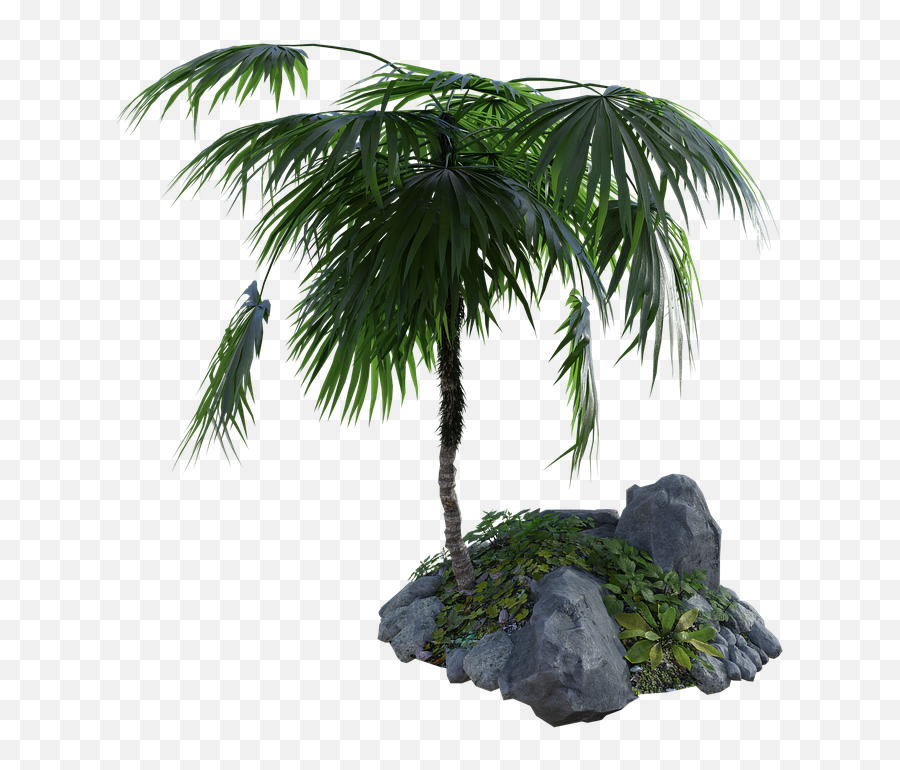Tropical Palm Tree - Rock Png Palms Emoji,Palm Tree Emojis