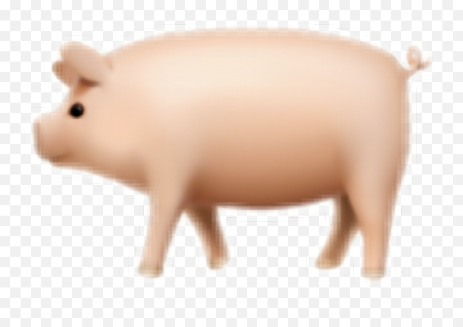 Ive Completed The Set Of Pig Emojis - Pig,Pig Emoji