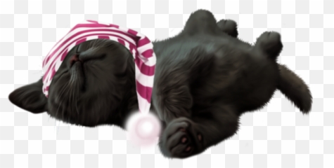 Kitty Cat Kitten Sleepy Sleeping Black - Emoji