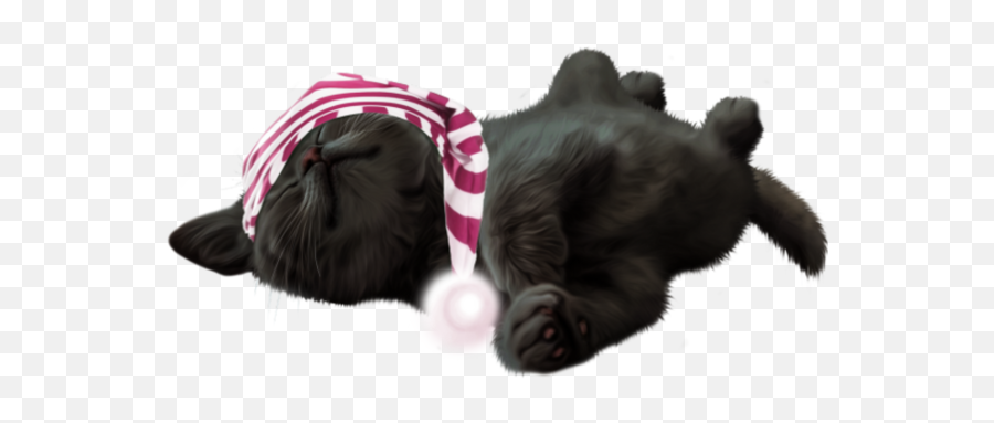 Kitty Cat Kitten Sleepy Sleeping Black - Black Cat Emoji,Sleeping Cat Emoji