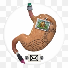 Frequently Asked Questions u2014 - Drink Emoji