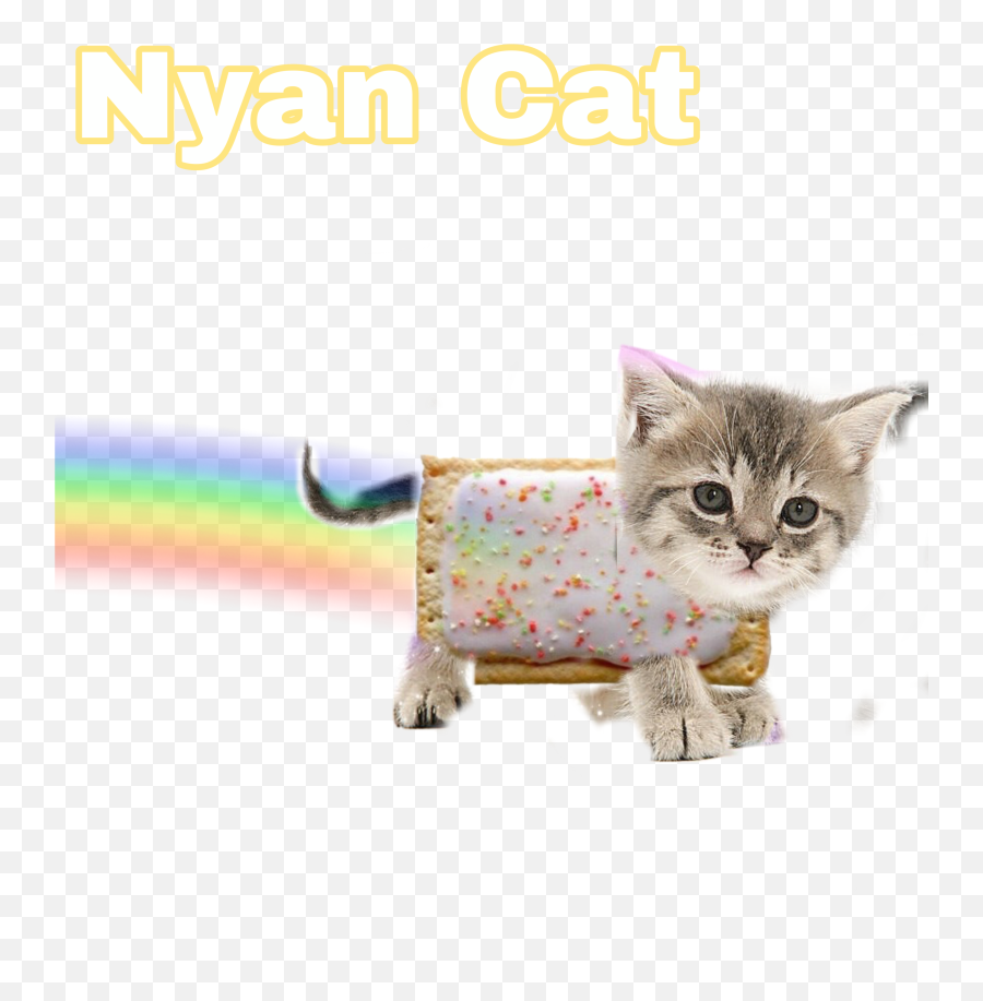 Nyancat Meme Realistic Sticker By Memegod - Cat Toy Emoji,Nyan Cat Emoji