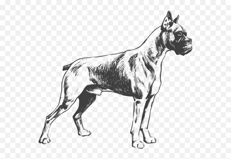 Boxer Dog Sketch Vector - Boxer Dog Line Vector Emoji,Boxer Dog Emoji