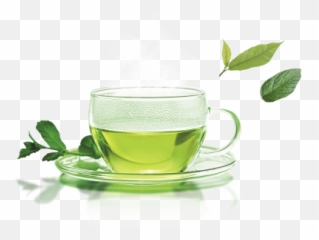 Free Vectors Graphics Psd Files - Cup Of Green Tea Png Emoji