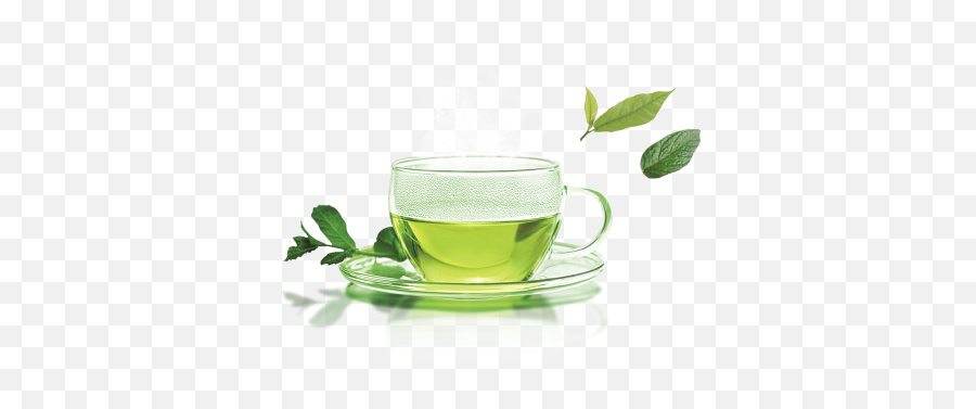 Free Vectors Graphics Psd Files - Cup Of Green Tea Png Emoji,Green Tea Emoji