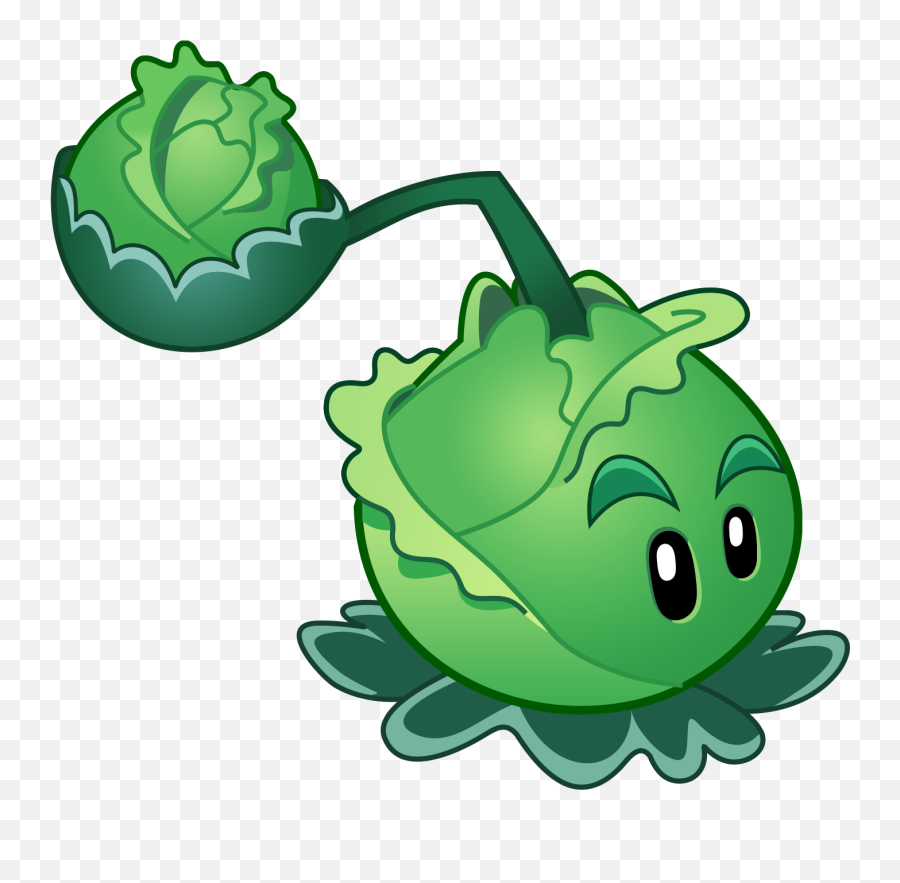 Cabbage Clipart Cabbage Plant Cabbage - Cabbage Pult Plants Vs Zombies Emoji,Cauliflower Emoji