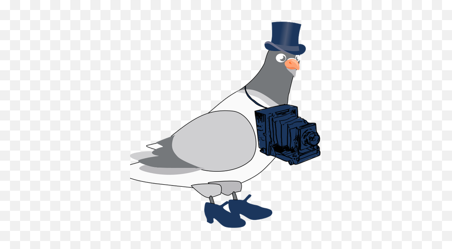 Vektorgrafiken Von Taube Mit Kamera - Pouter Pigeon Blue Background Emoji,Karate Emoticon