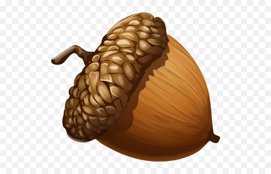 Nuts Clipart Transparent - Acorn Png Emoji,Nuts Emoji