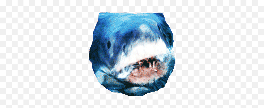 Top Big Foot In Smalltown Stickers For Android U0026 Ios Gfycat - Whats Shark Week Emoji,Stingray Emoji