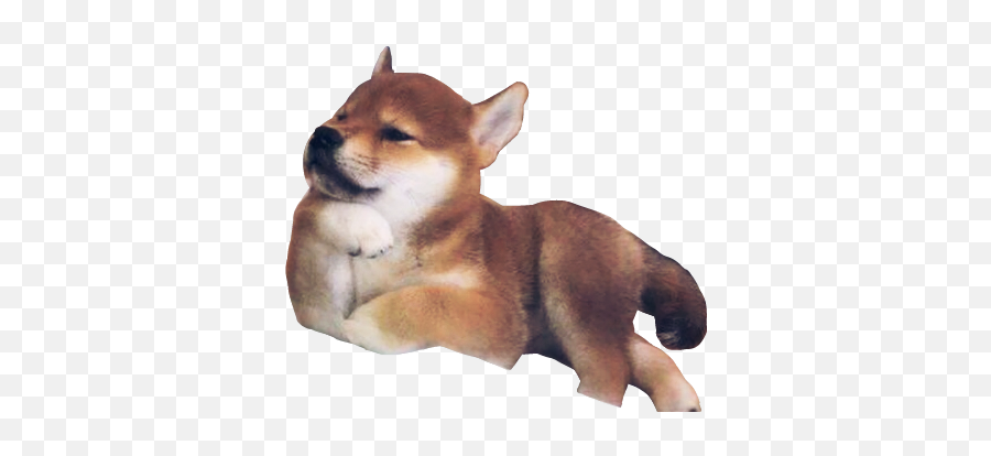 Dog Cute Shiba Shibainu Doge Sticker By Kimcei - Shiba Inu Emoji,Shiba Inu Emoji