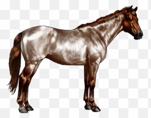 Horse Markings Png U0026 Free Horse Markingspng Transparent - Chocolate Roan Horse Marking Emoji,Horse And Muscle Emoji