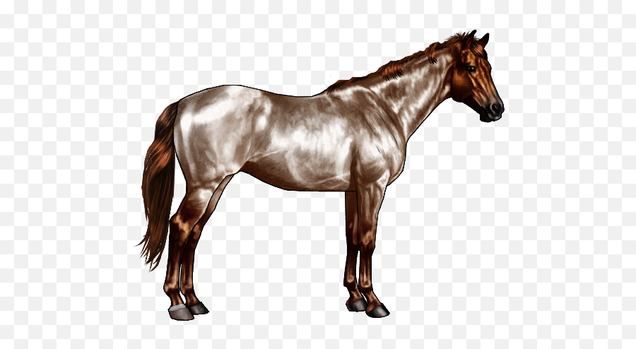 Horse Markings Png U0026 Free Horse Markingspng Transparent - Chocolate Roan Horse Marking Emoji,Horse And Muscle Emoji