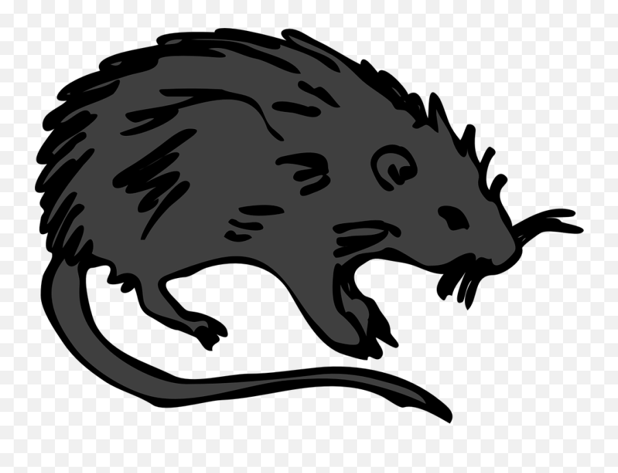 Free Rat Mouse Illustrations - Rat Clip Art Emoji,Race Flag Emoji