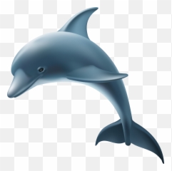 Common Bottlenose Dolphin Transparency And Translucency Clip Emoji,Dolphin Emoji