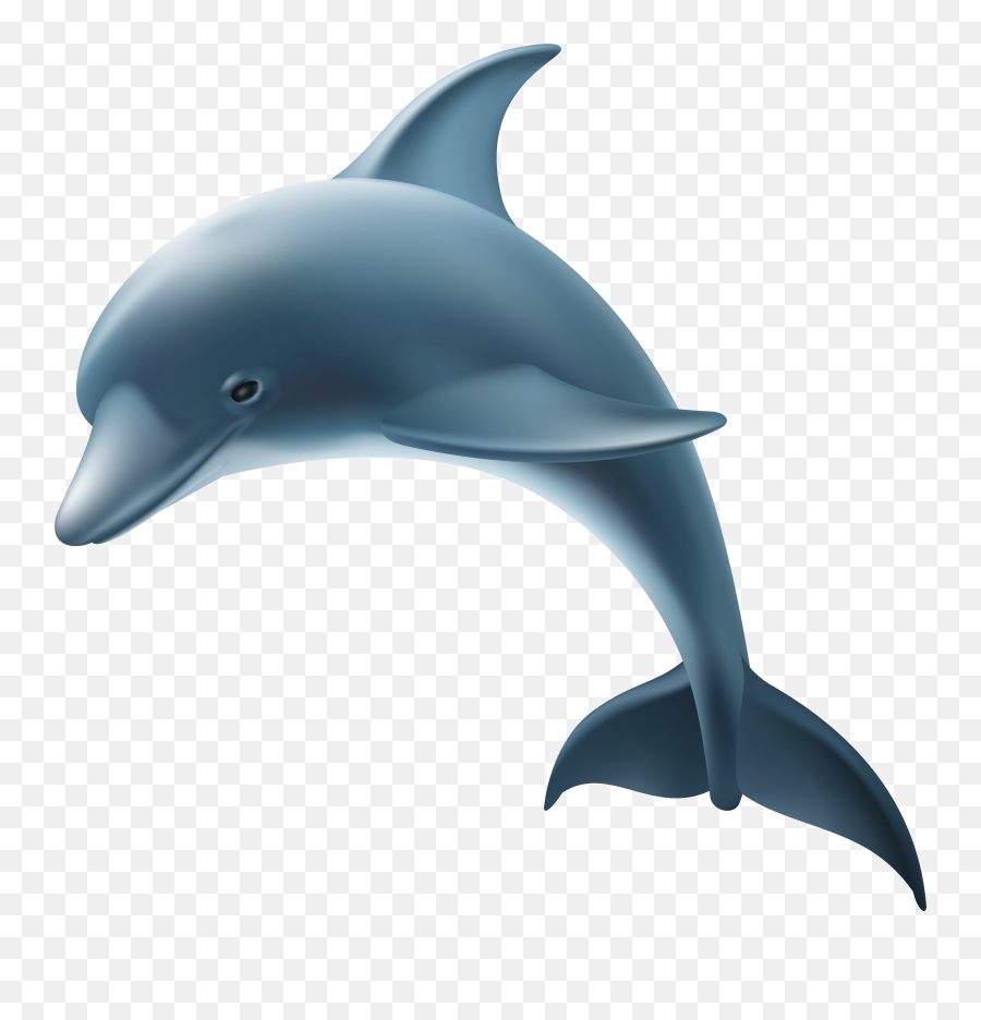 Common Bottlenose Dolphin Transparency And Translucency Clip Emoji,Dolphin Emoji