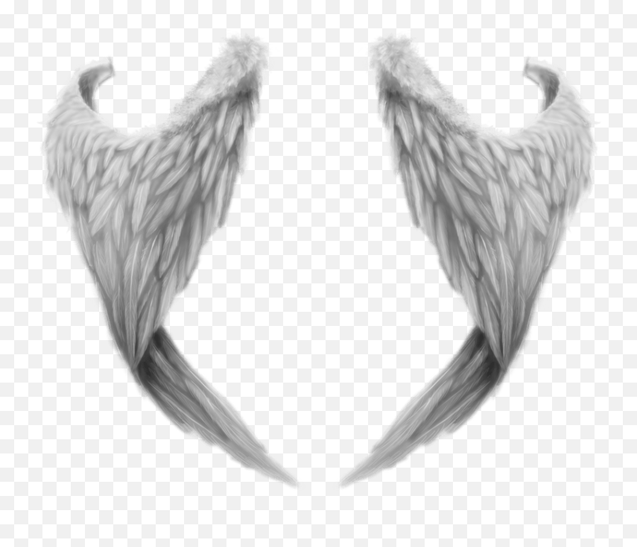 Angel Wings From Behind Emoji,Coochie Emoji