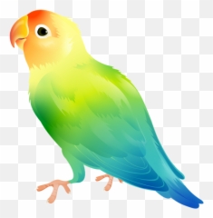 Library Of Yorkie Thanksgiving Clipart - Parrot Birds Art Emoji
