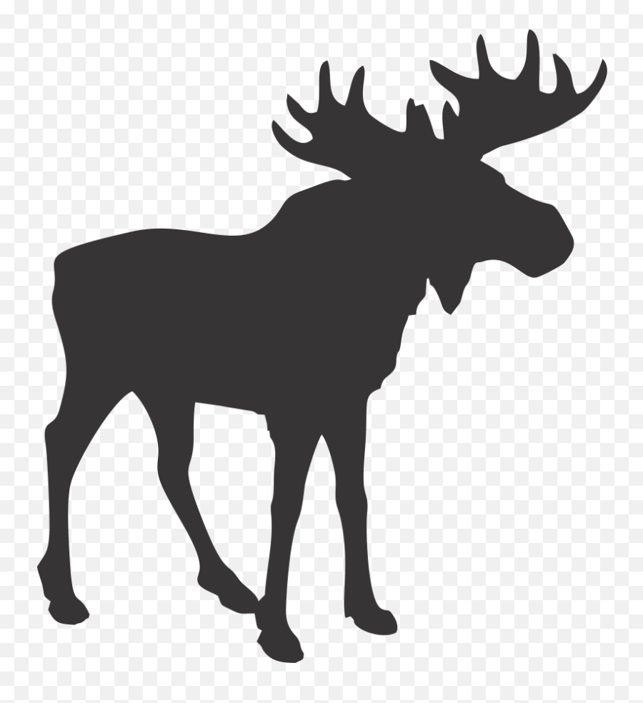 Bobble Head Moose Canadian Mountain Elk - Moose Silhouette Emoji,Moose Emoji