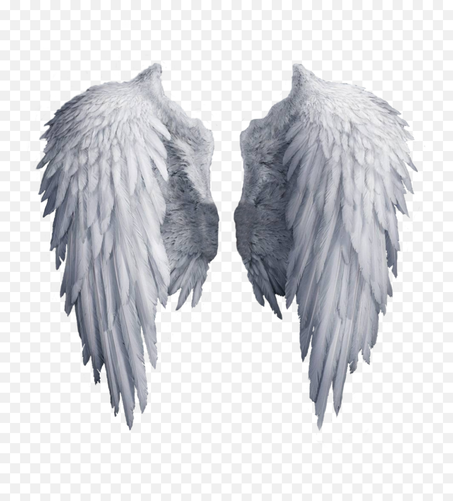 Angel Wing Clip Art - Realistic Angel Wings Png Emoji,Angel Wing Emoji