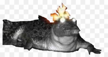 cocodrilo png - Scp 682 Dank Memes 3909268 Vippng Florida Alligator On Fire Emoji