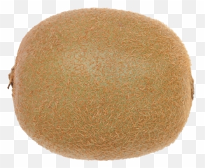 Hd Eggplant Transparent Png Sticker - Kiwi Emoji