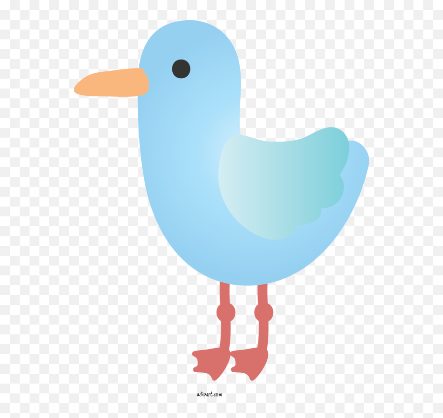 Animals Bird Beak Seabird For Duck - Soft Emoji,Blue Bird Emoji