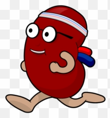 Webinar Dr Shashi Chronic Kidney - Kidney Cartoon Transparent Emoji,Kidney Emoji