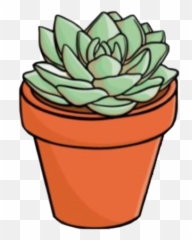 Vsco Succulent - Succulent Sticker Emoji,Succulent Emoji