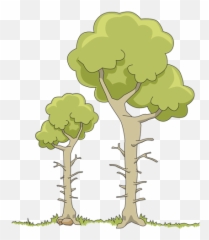 Two Forest Trees - Do Plants Get Their Mass From Diagram Emoji,Palm Tree Emojis