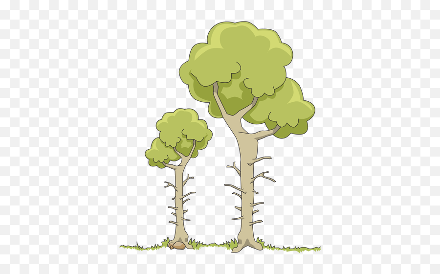 Two Forest Trees - Do Plants Get Their Mass From Diagram Emoji,Palm Tree Emojis