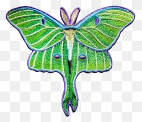 Shittty Stufff Official Site - Swallowtail Butterfly Emoji,Moth Emoji