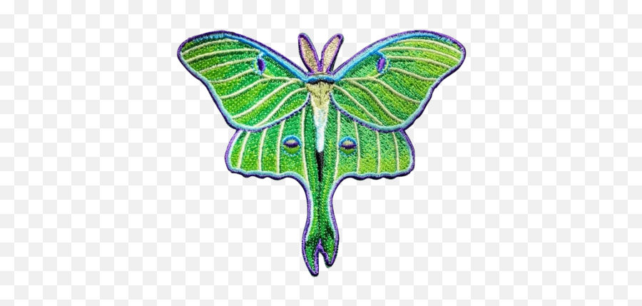 Shittty Stufff Official Site - Swallowtail Butterfly Emoji,Moth Emoji