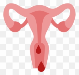 Periods Icon - Free Download PNG and Vector Utero Png Emoji