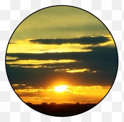 Sunset Sticker - Umbrella Company Emoji