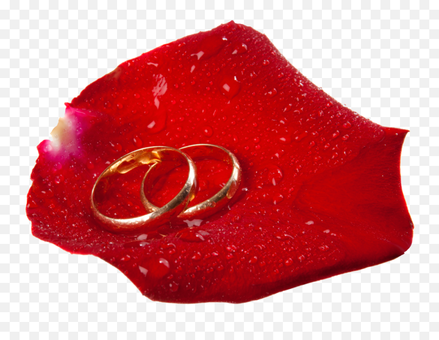 Wedding Rings In Rose Petal Png Clip Art - Best Web Clipart Garden Roses Emoji,Wedding Ring Emoji