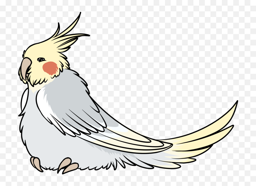 Clip Art Cockatiel Gif Bird Chicken - Animated Bird Png Gif Emoji,Cockatiel Emoji