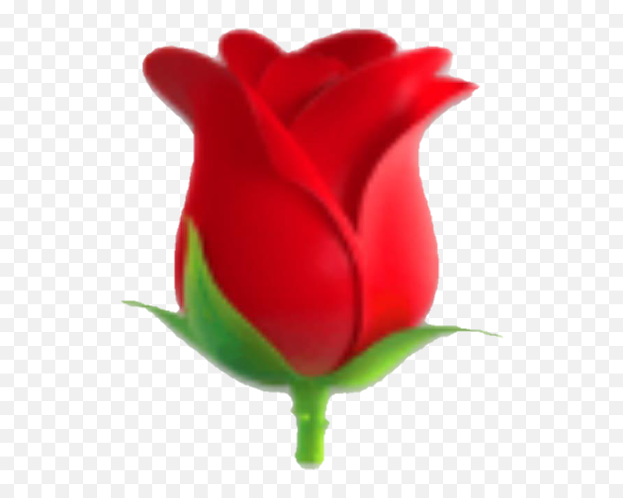 Emoji Rose Flower Redflower Red Redrose - Transparent Background Rose Emoji,Rose Emoji Png