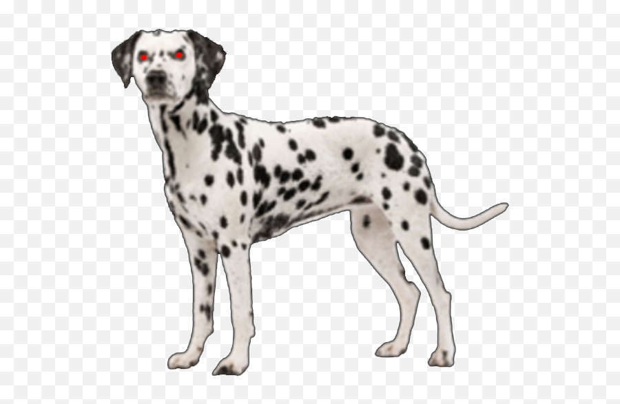 Dalmatian Png Png Image - Dalmatian Dog Images Png Emoji,Dalmatian Emoji